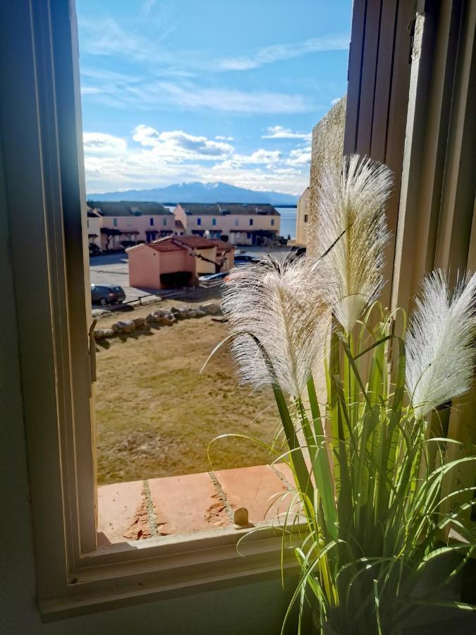 Appartement Tout Confort A Cap Coudalere Avec Vue Magnifique Sur Le Canigou Au Bord Du Lac - Check In Automatise - Parking Gratuit - Aire De Jeux D'Enfants - Le Barcarès Exteriér fotografie
